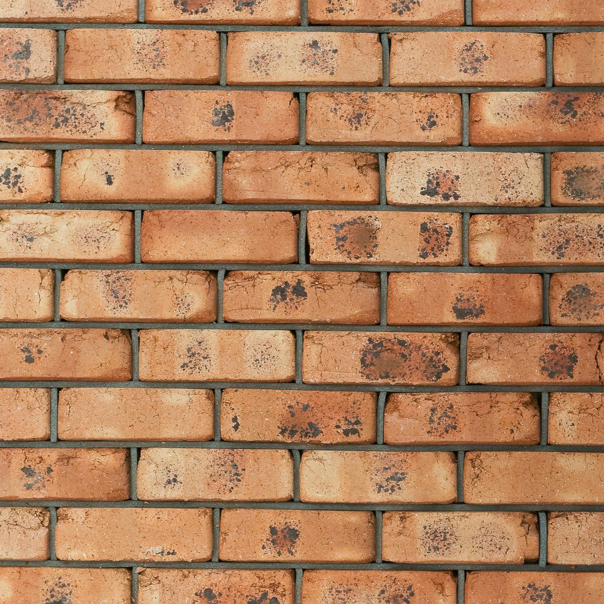 Brick Old Roman Gold Flash — Brisbane, QLD — Apollo Landscaping Supplies