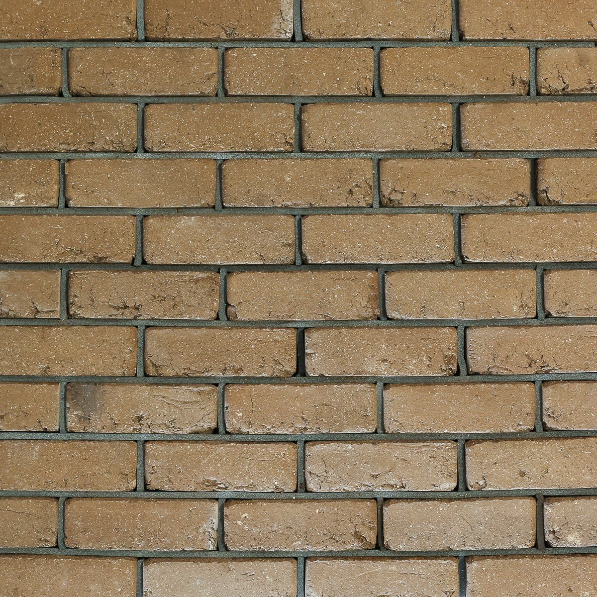 Brick Old Roman Pewter — Brisbane, QLD — Apollo Landscaping Supplies