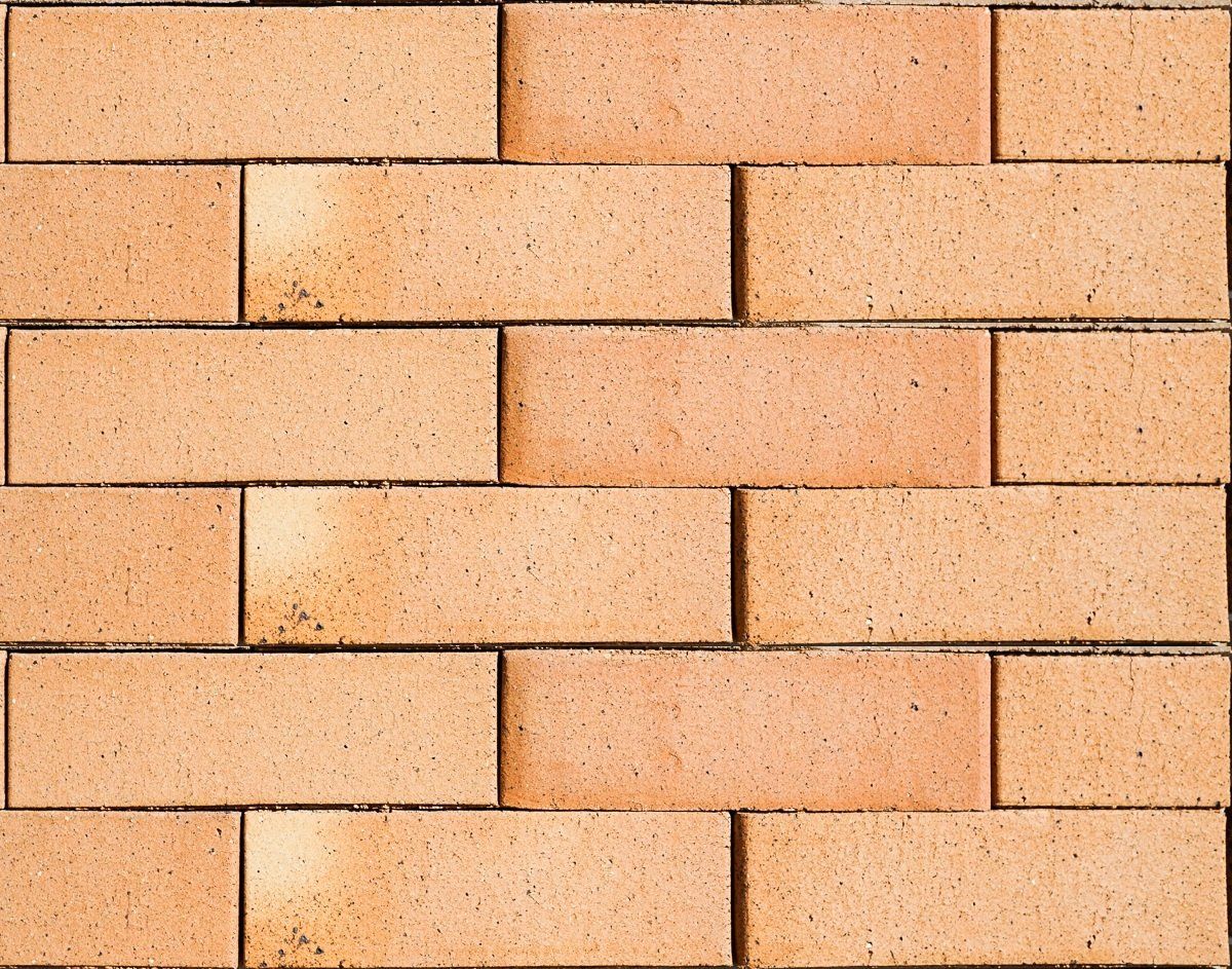 Brick Regal Gold — Brisbane, QLD — Apollo Landscaping Supplies