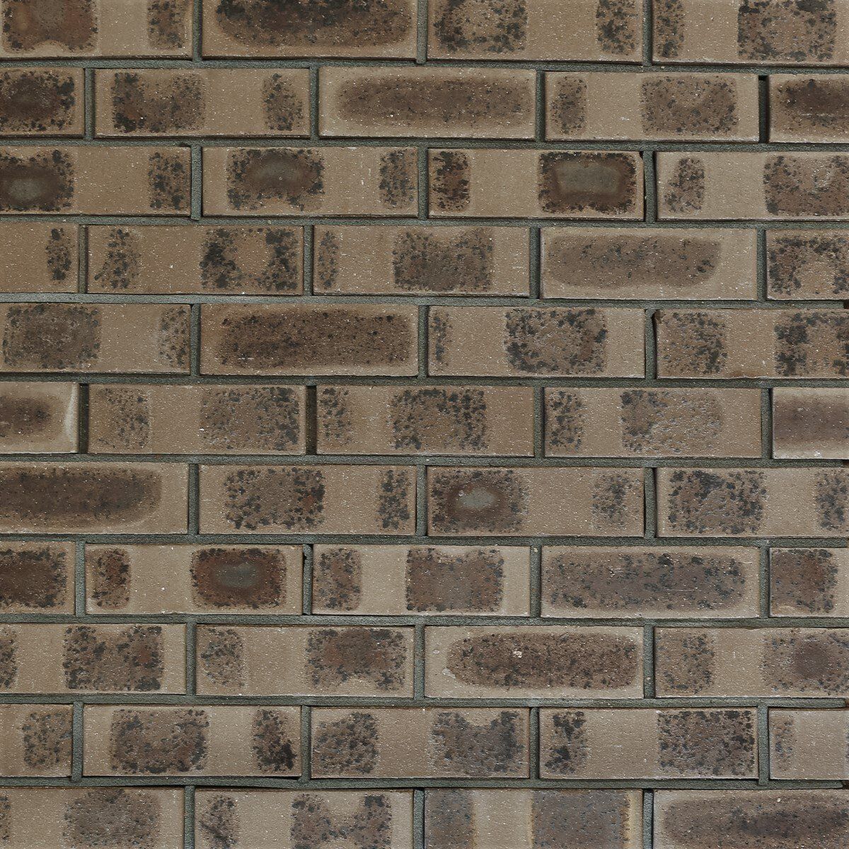 Brick Regal Pewter Flash — Brisbane, QLD — Apollo Landscaping Supplies