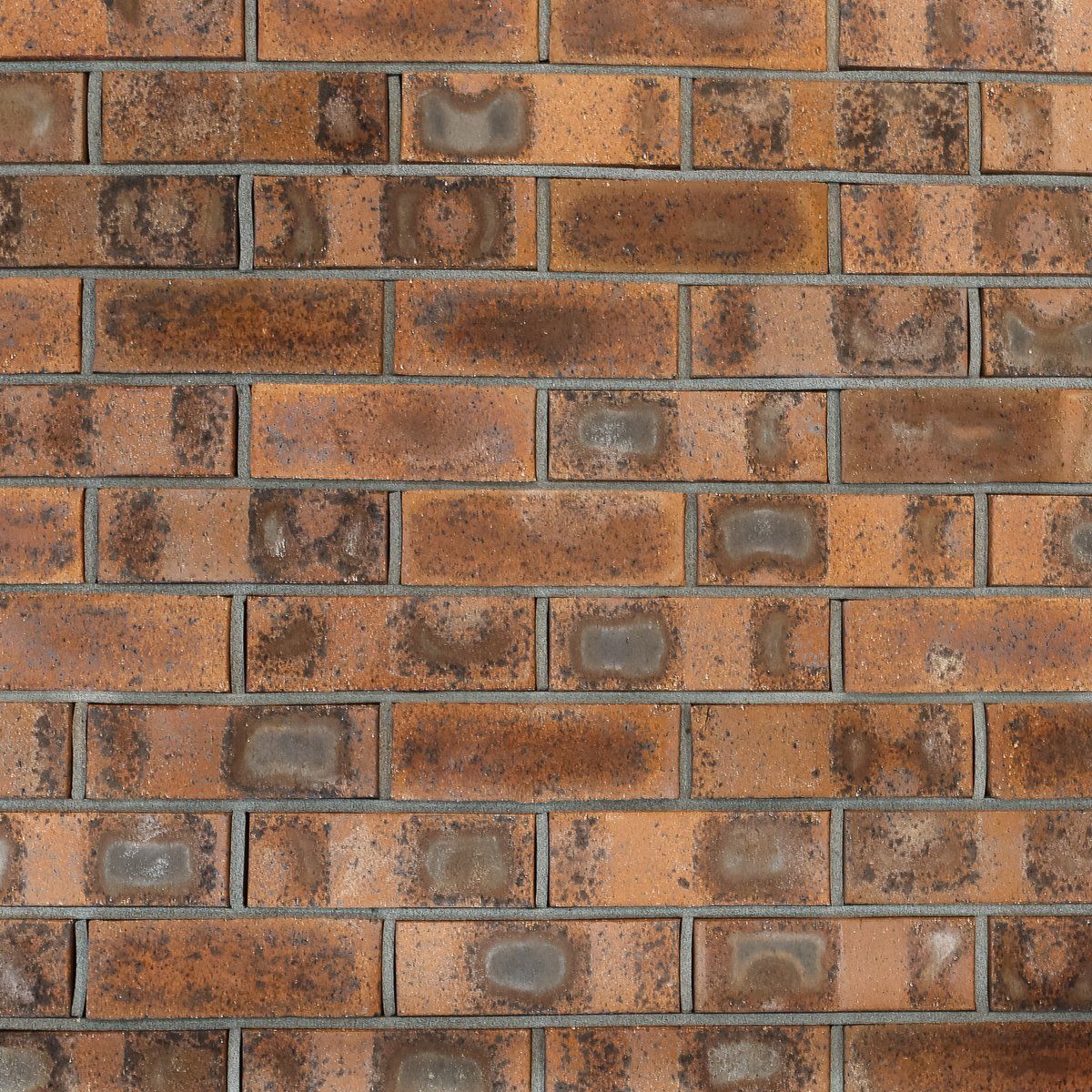 Brick Regal Tan Flash — Brisbane, QLD — Apollo Landscaping Supplies