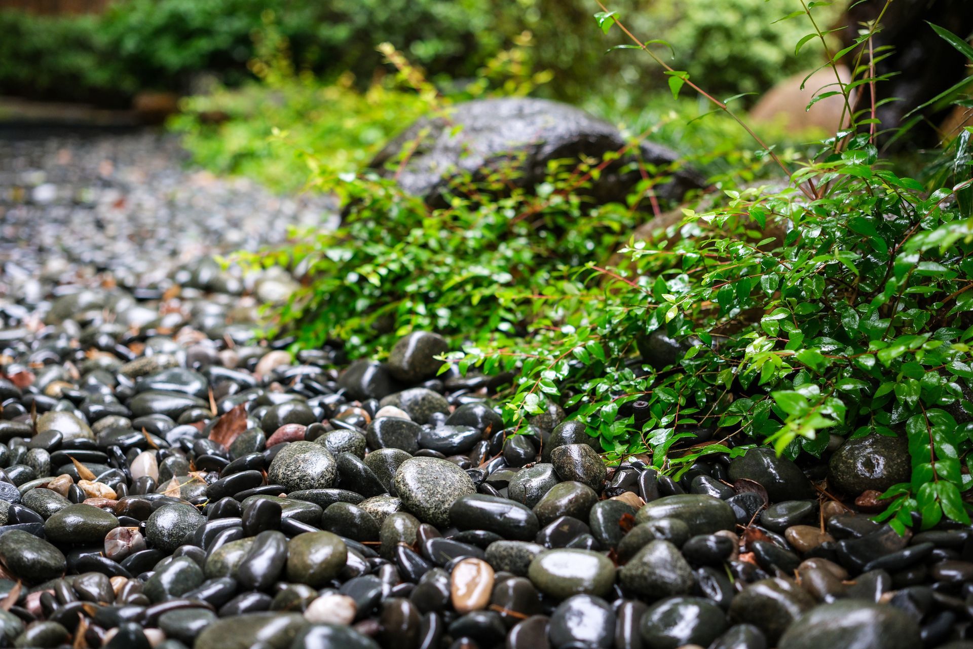 Decorative Pebble And Gravel — Brisbane, QLD — Apollo Landscaping Supplies