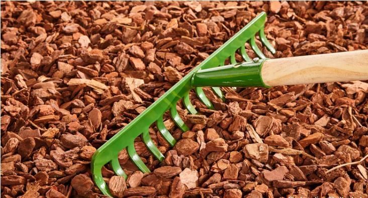 Bark Fertiliser — Brisbane, QLD — Apollo Landscaping Supplies