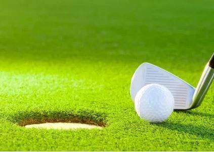 Sports Turf — Brisbane, QLD — Apollo Landscaping Supplies