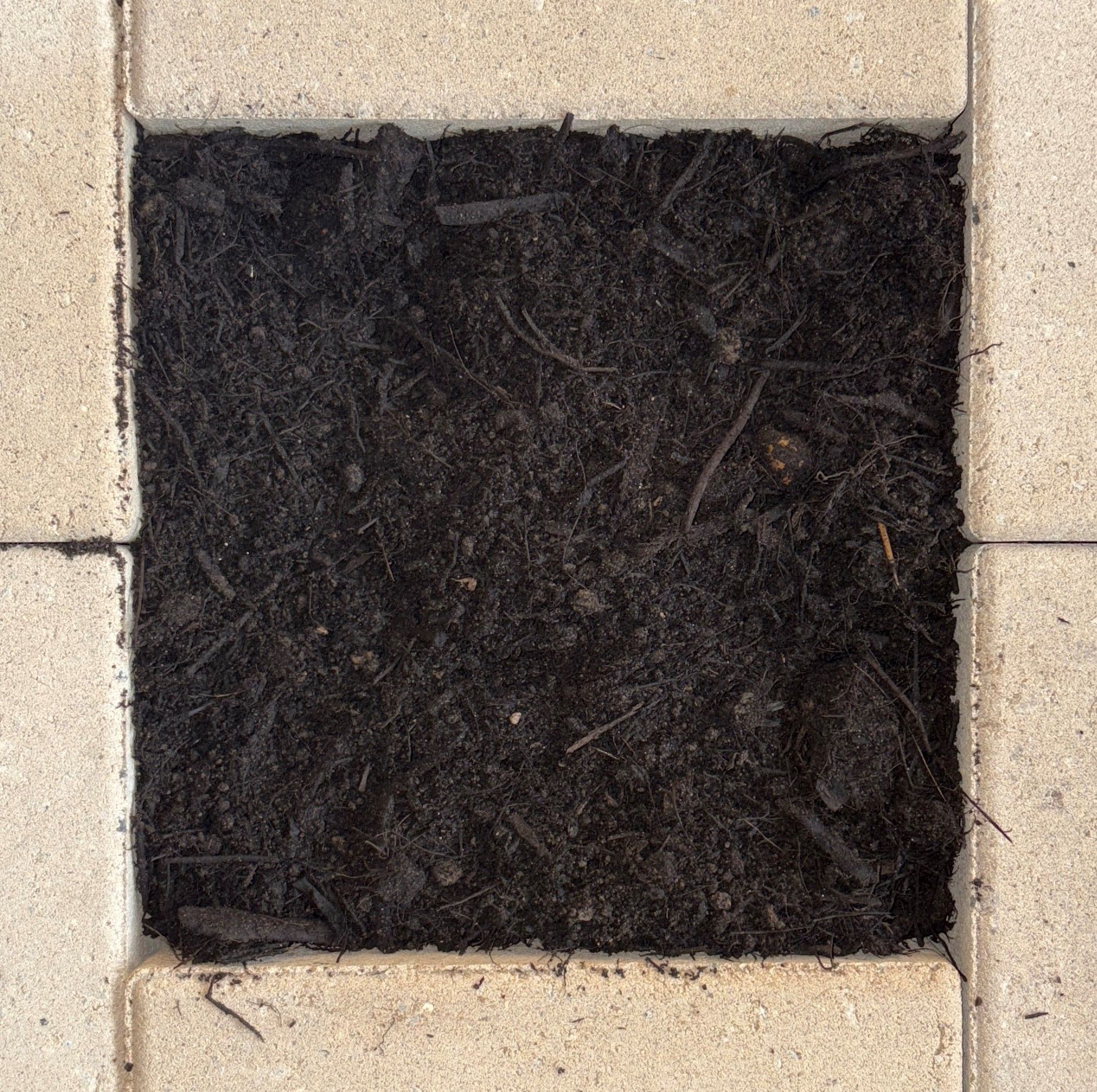 Commercial Underturf Mix — Brisbane, QLD — Apollo Landscaping Supplies