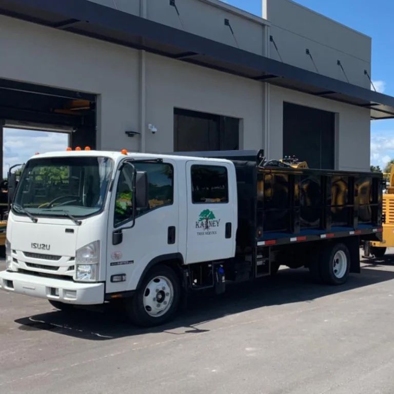 White Isuzu truck with black bed parked outside a building, logo says 