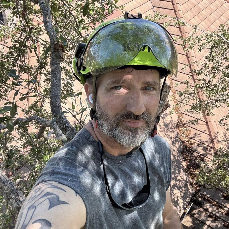 Man in safety helmet in tree, holding sunglasses. Dark hair and beard, focused expression. Outdoors setting.