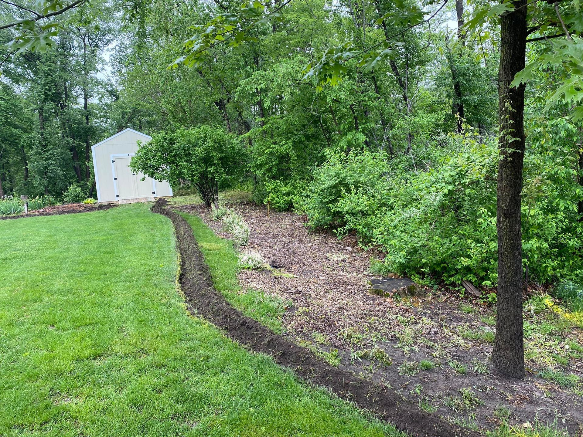 A lush green yard with trees and a white shed in the background.