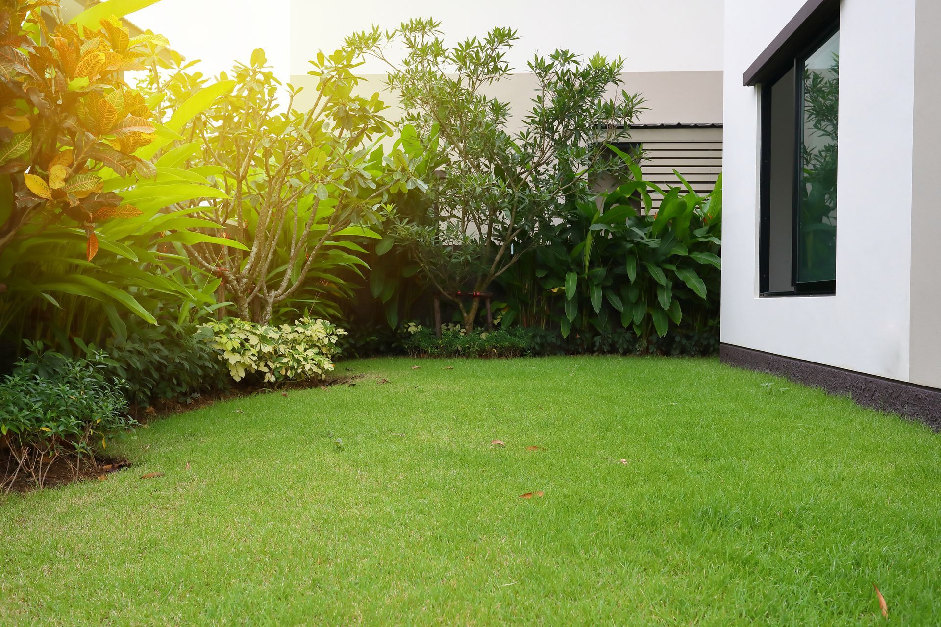 There is a lush green lawn in front of a house.