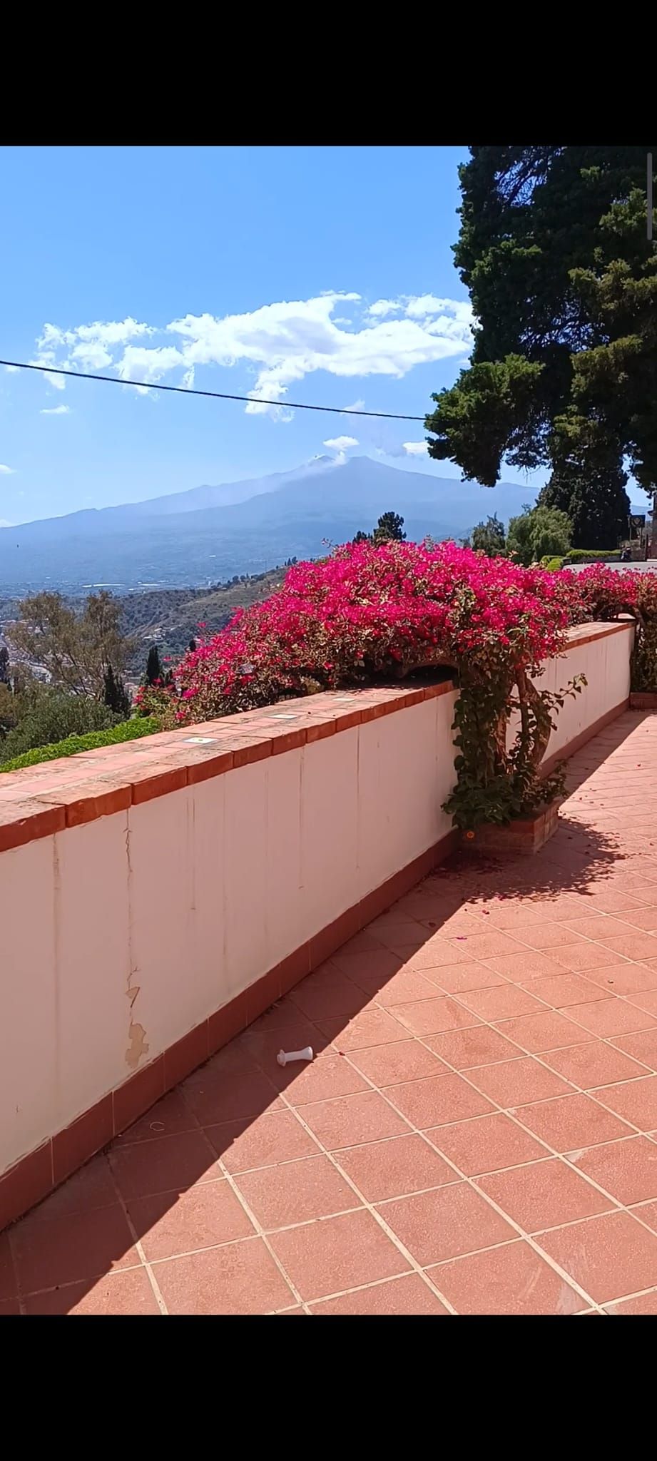 giardini personalizzati