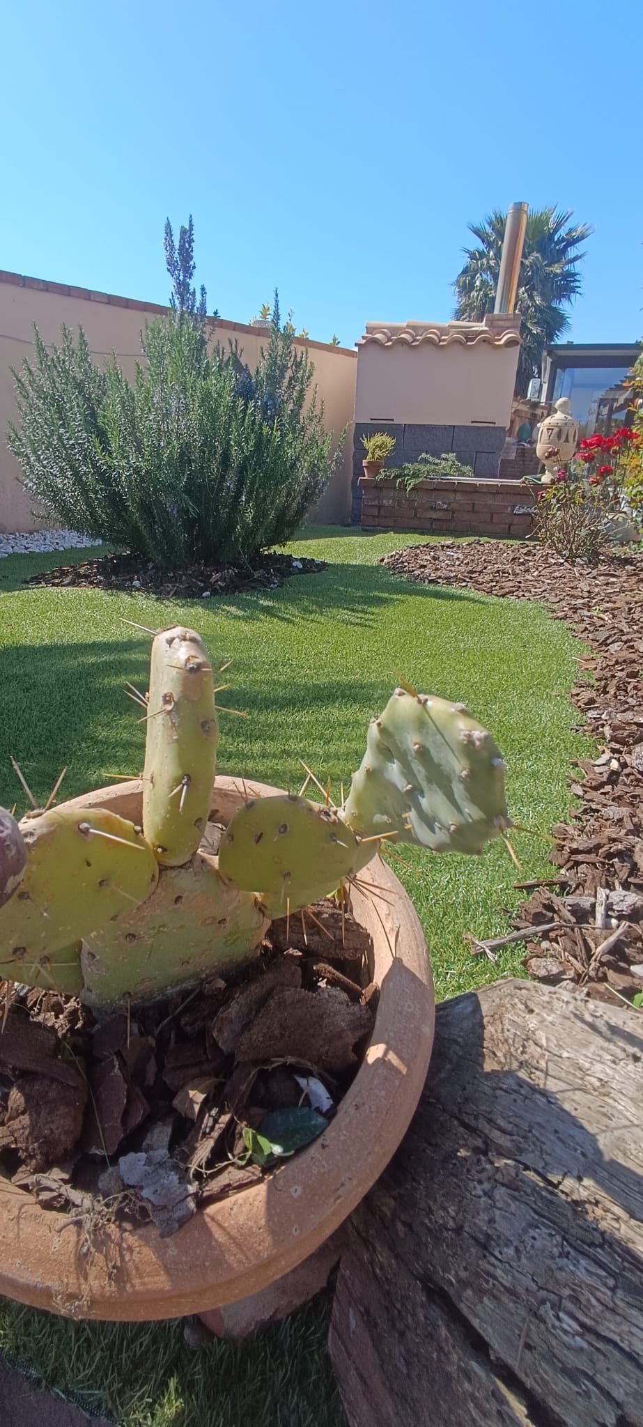 manutenzione e cura del verde