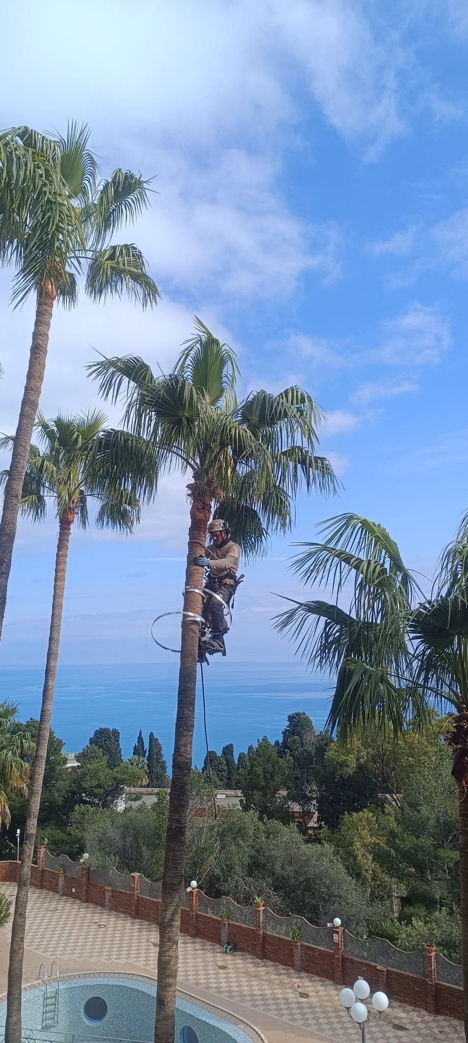 lavorazioni agricole e sistemazioni terreni
