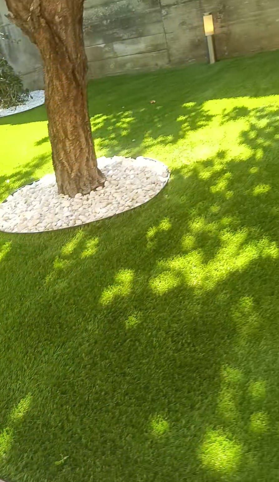 progettazione e realizzazione giardini