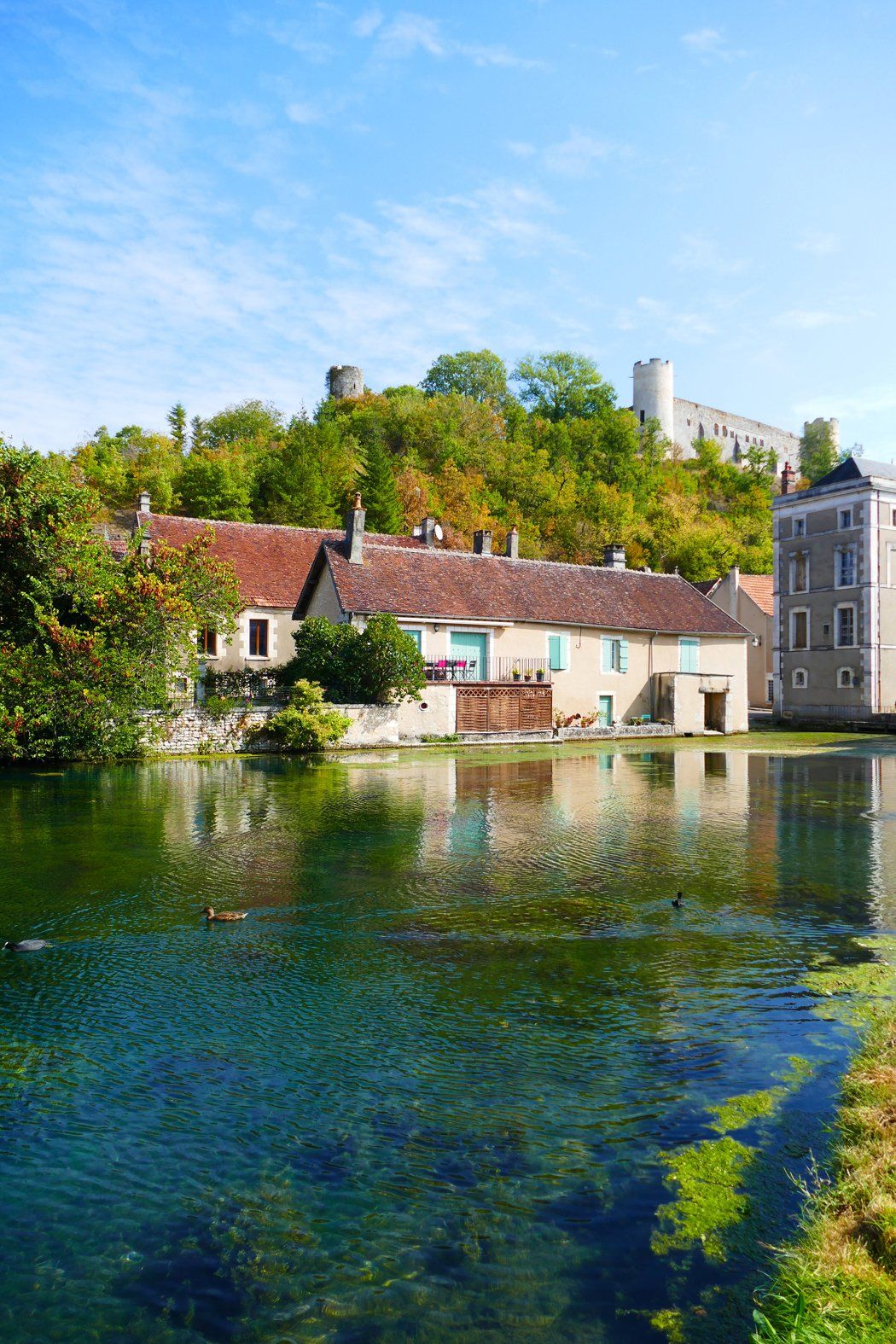 Druyes Burgundy Caroline Mills