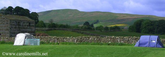 Two tents in a field with the website www.newinmills.net in the corner