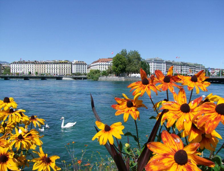 Genera  Caroline Mills