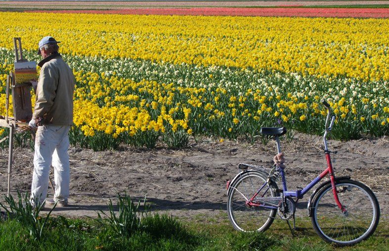 Holland bulbfields Caroline Mills