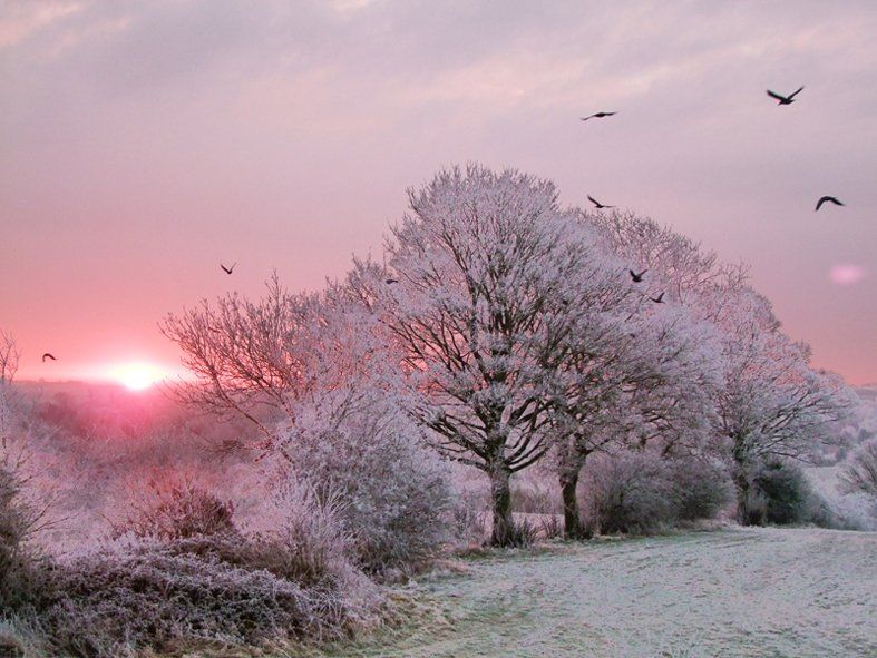 Winter Cotswolds Caroline Mills