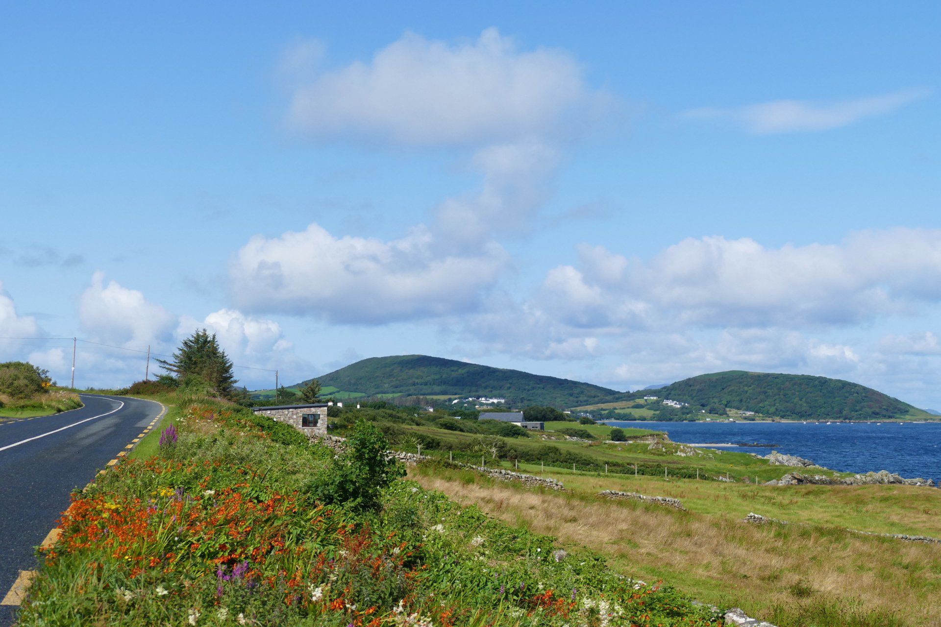 County Mayo Caroline Mills