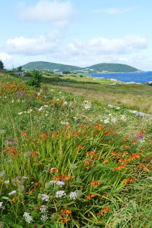 County Mayo Caroline Mills