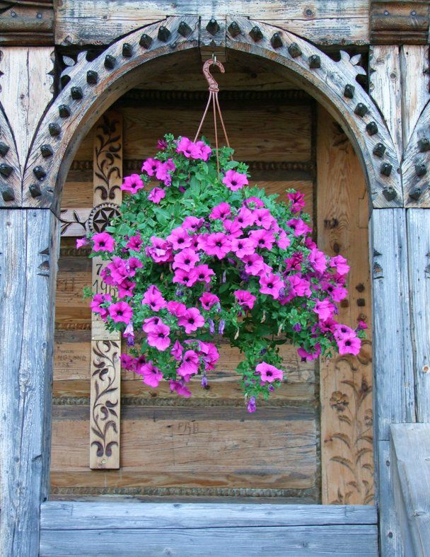 Polish architecture Caroline Mills