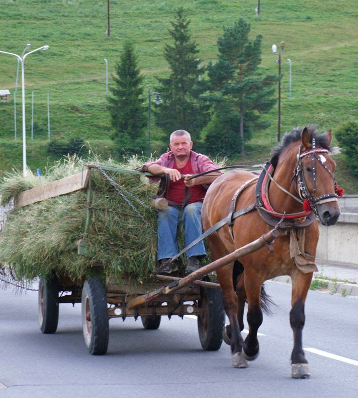 Poland Caroline Mills