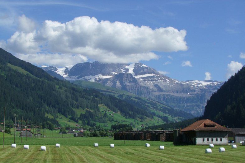 A field with bales of hay and mountains in the background in Switzerland