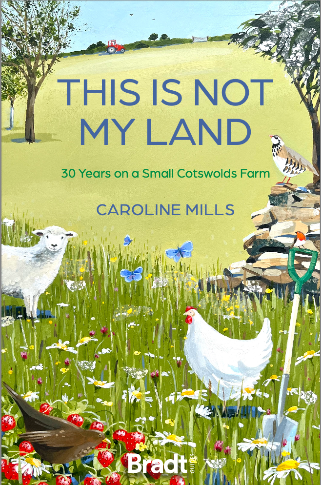 Camping Road Trips: UK Caroline Mills