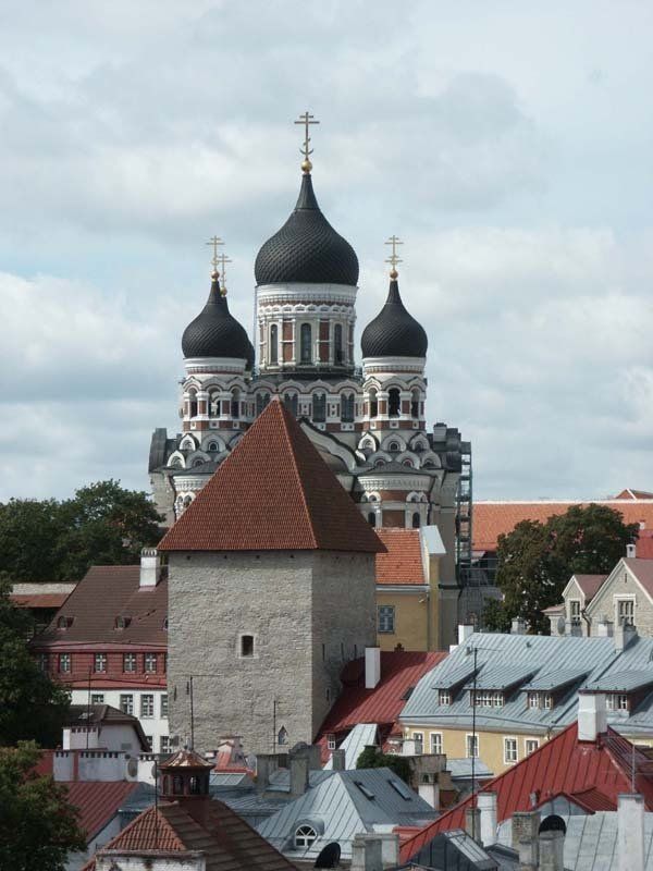 Tallinn Caroline Mills