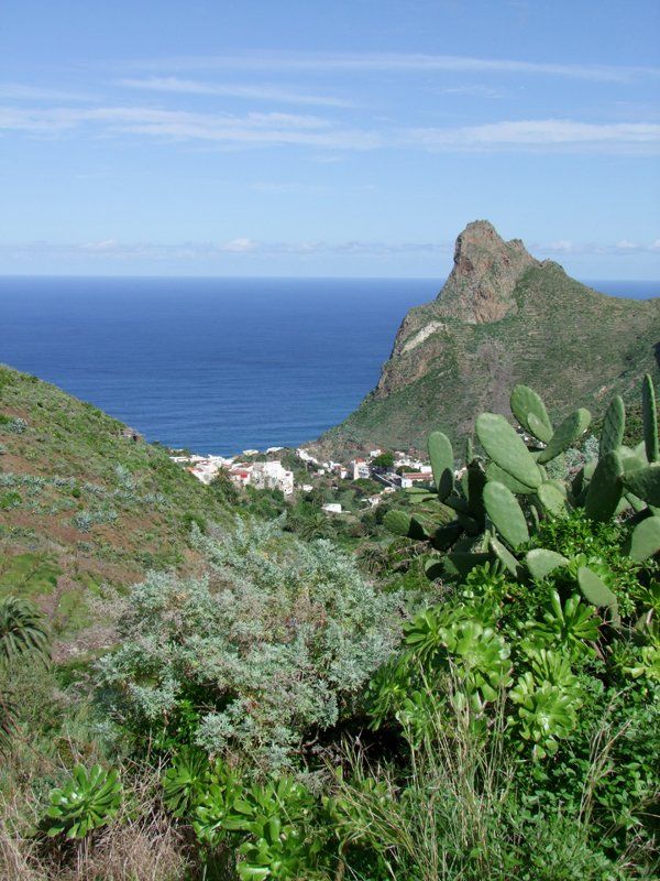 Tenerife Caroline Mills