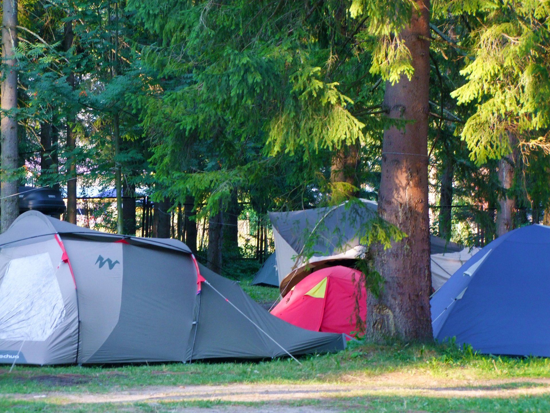 Camping Pocket Bible Caroline Mills