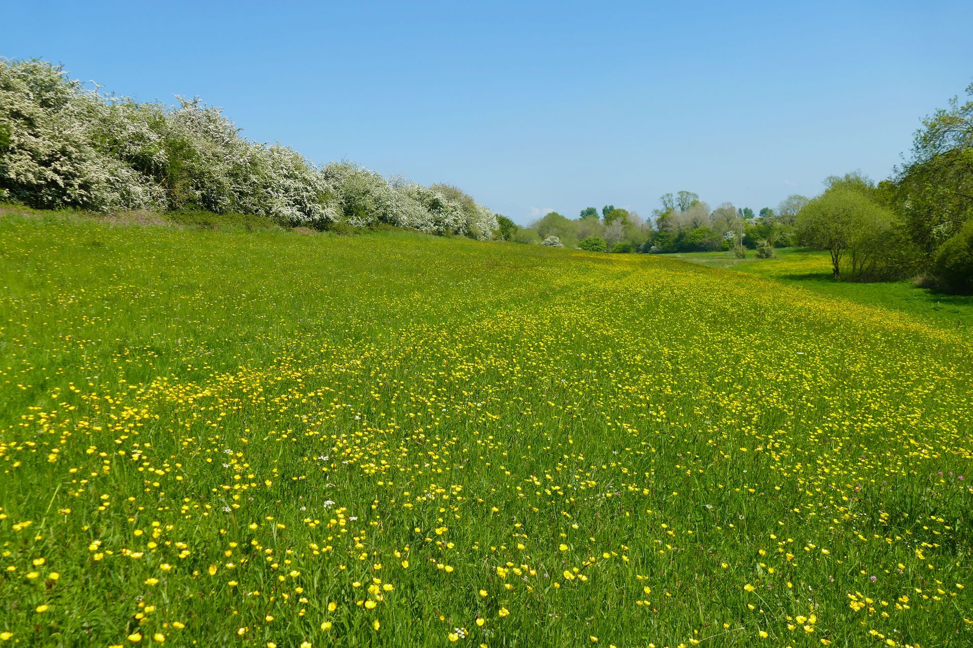 River Loir Caroline Mills