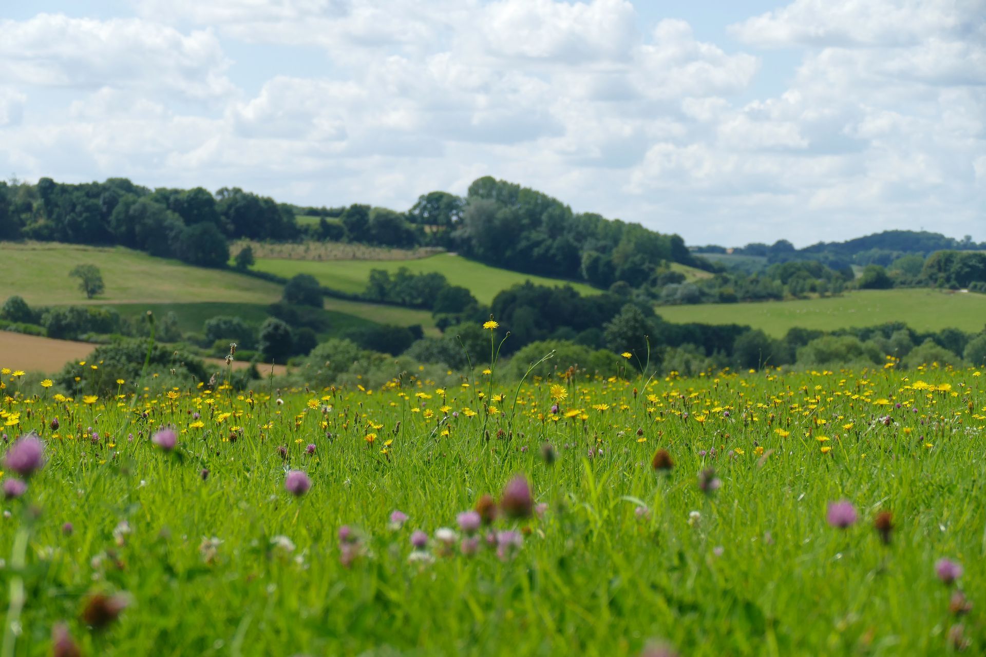 motorhome NC500 Caroline Mills