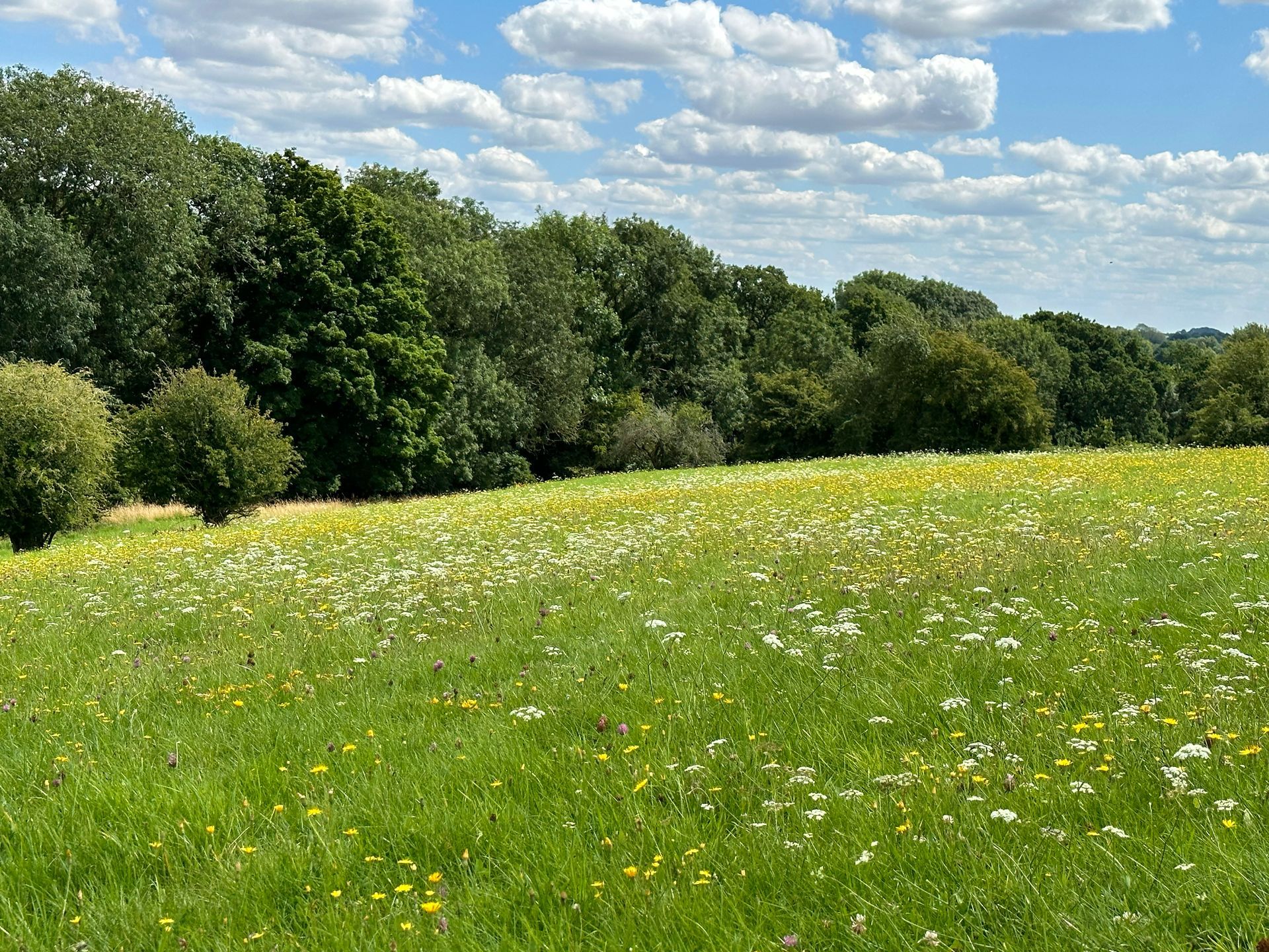 Yorkshire Dales camping  Caroline Mills