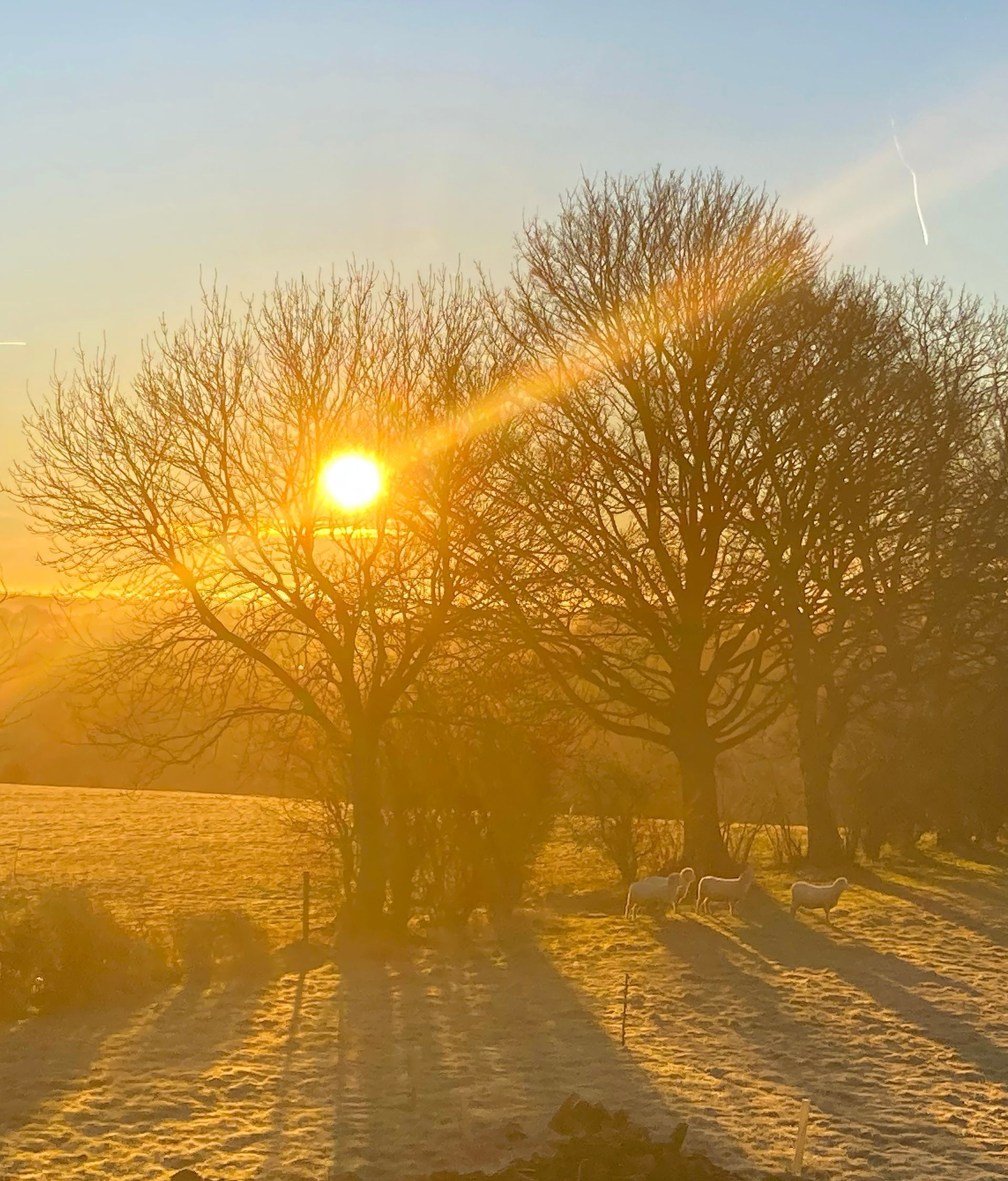 NC500  Caroline Mills