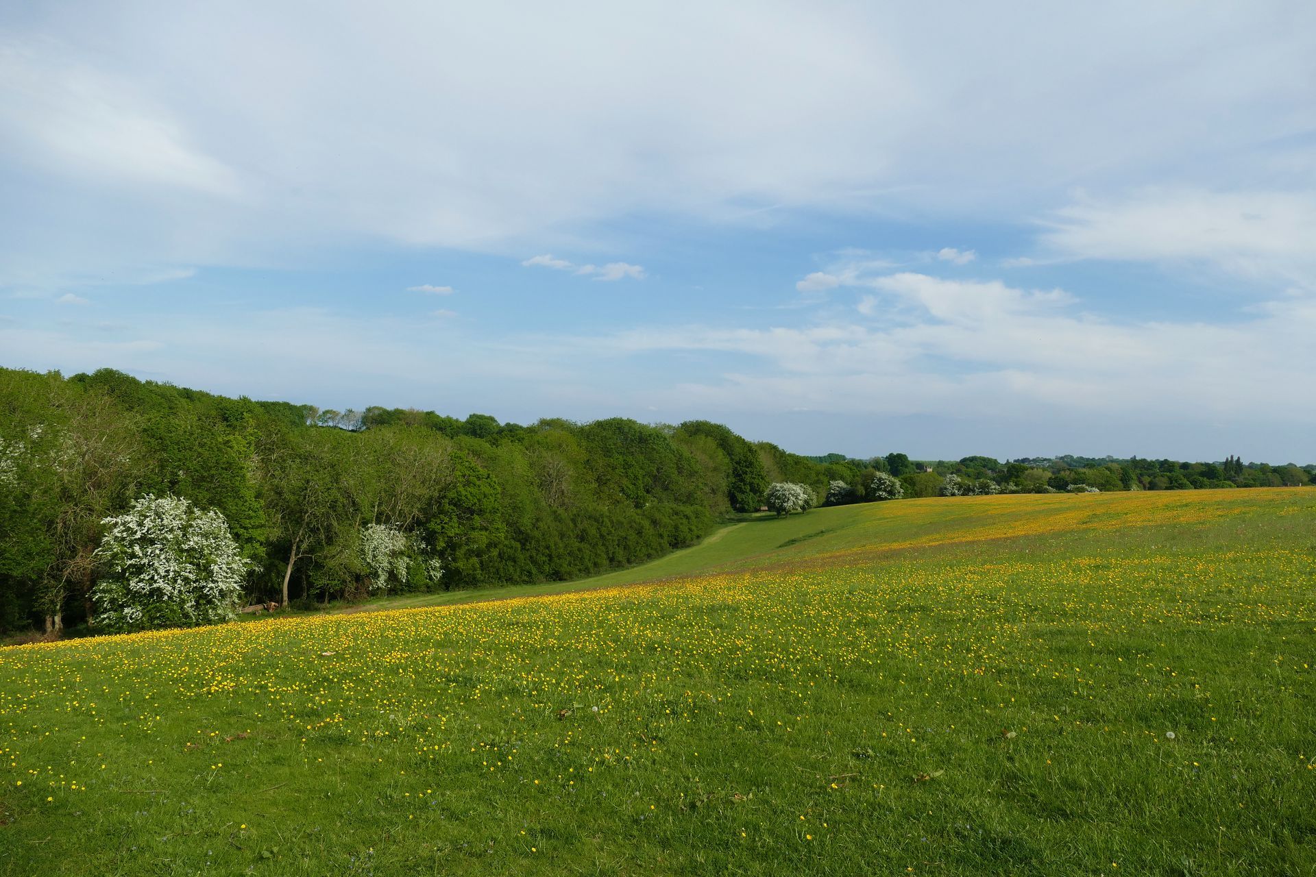 West Highland Railway Caroline Mills