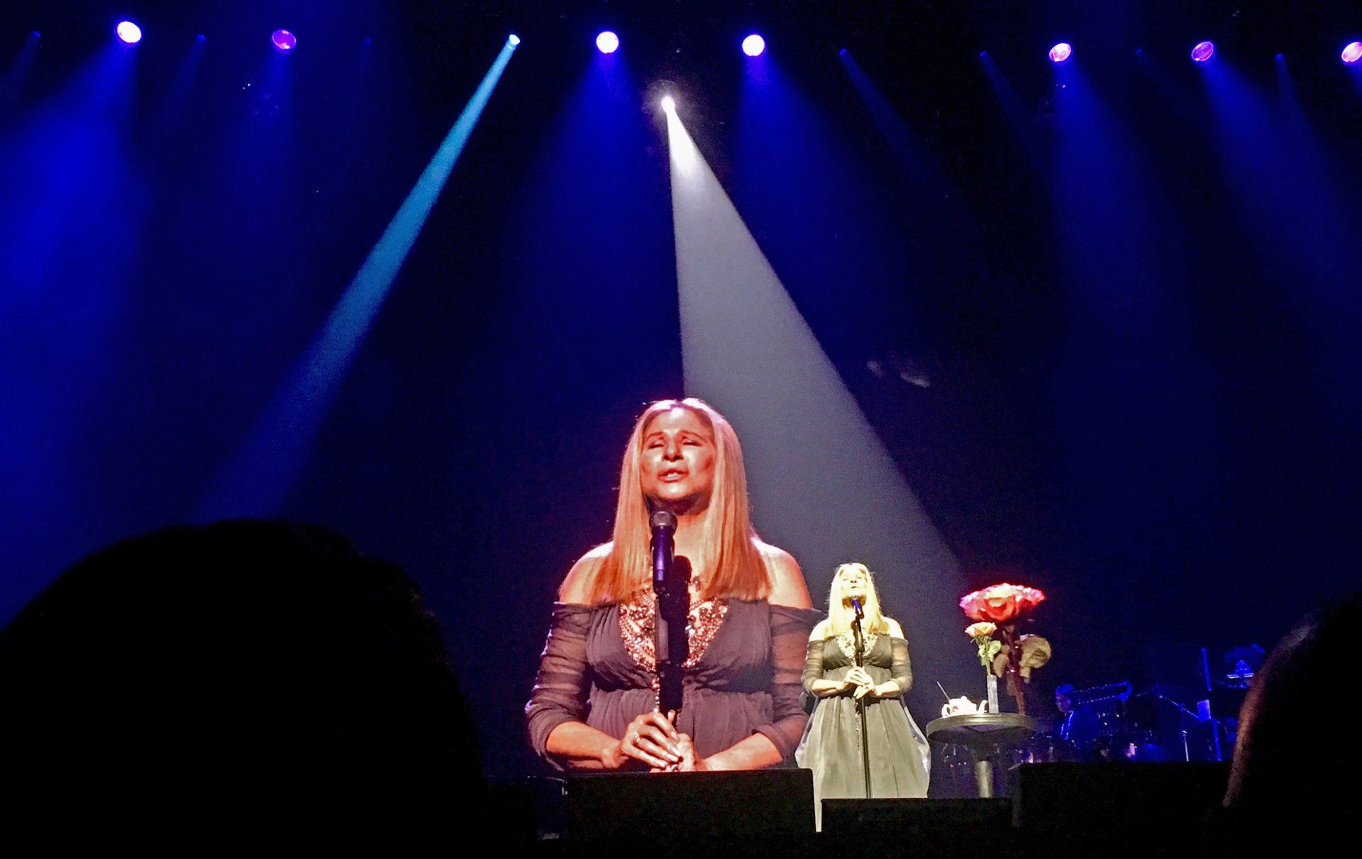 Streisand on stage in Long Island, 2017.