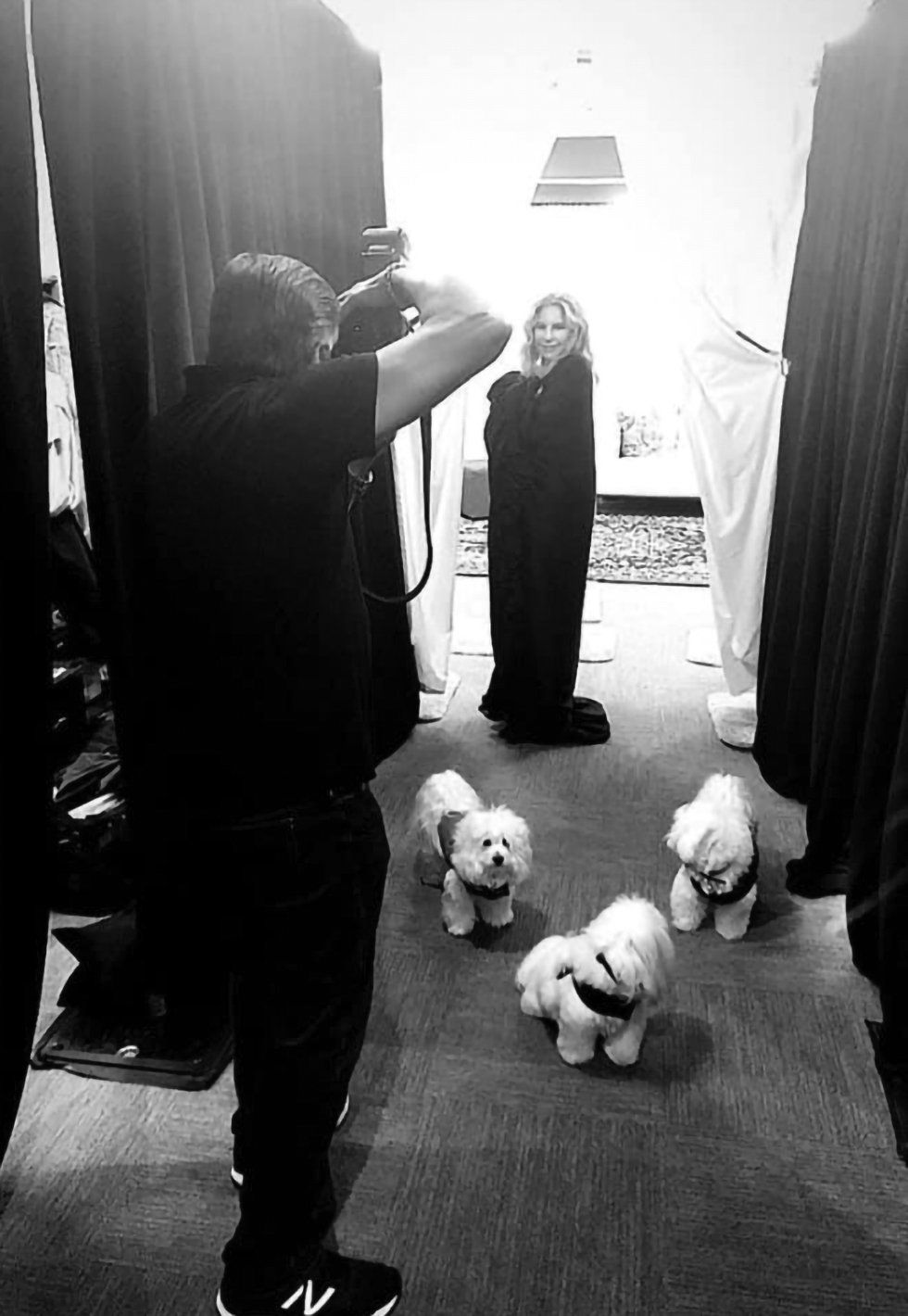 Photographer Russell James takes a picture of Barbra and her three dogs.
