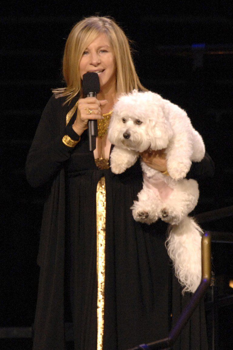 Streisand holding her dog, Sammy.