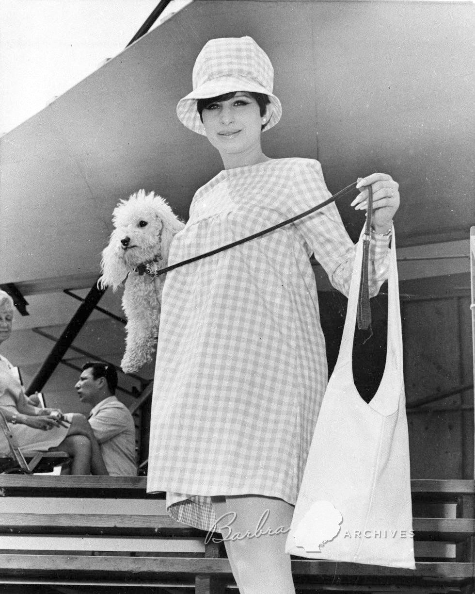 With pet poodle Sadie under her arm musical comedy star Barbra Streisand arrives at Newport, R.I.