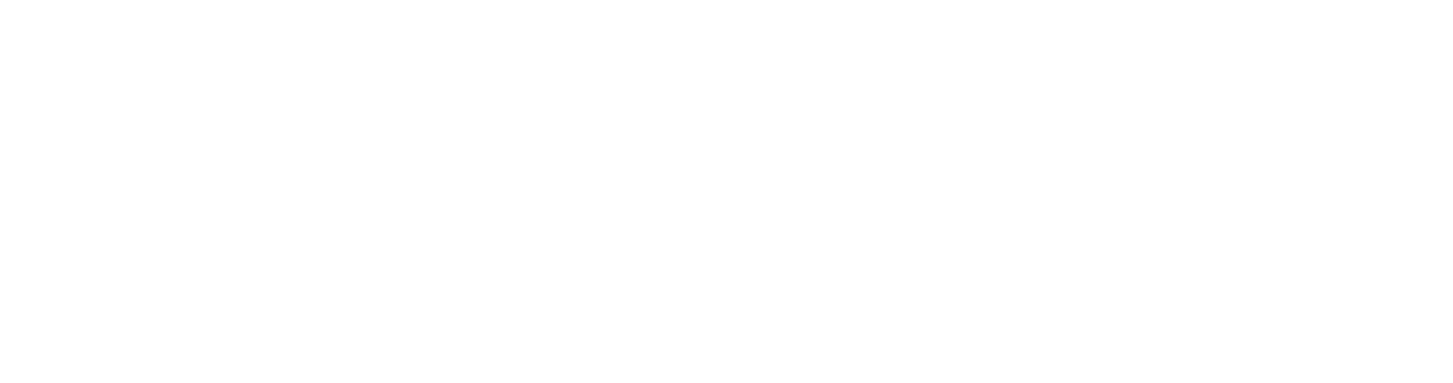 Symmonett Mgmt Logo