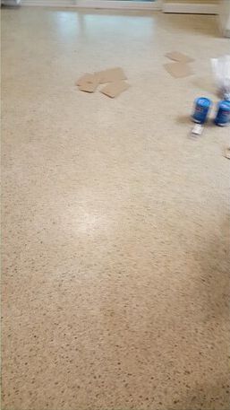 A person is standing on a carpeted floor in a room.