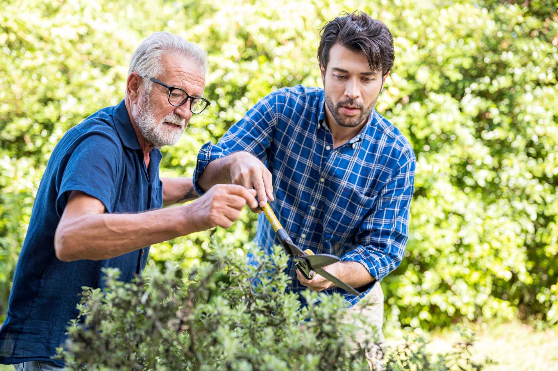 Man gardening with his elderly father | Adelaide, SA | Pristine Support Services