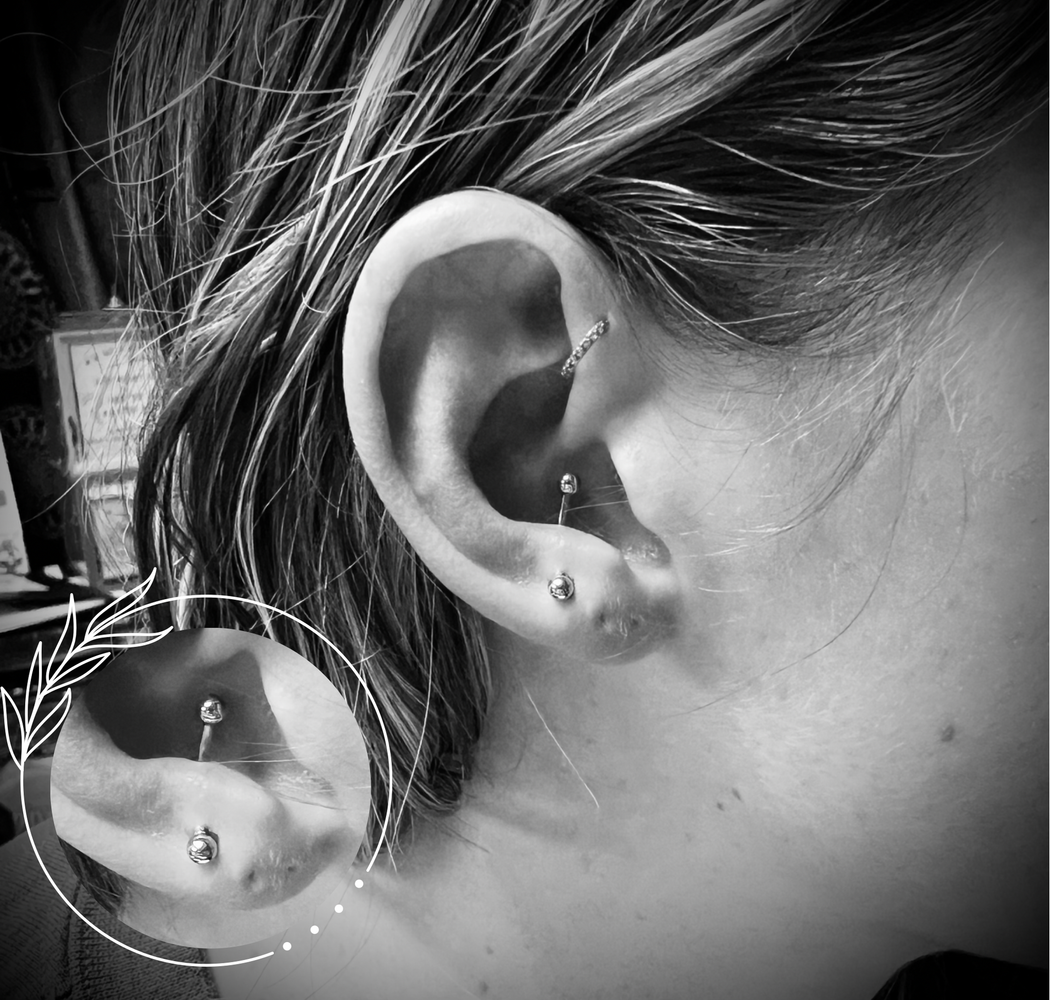 Ashton piercing work
