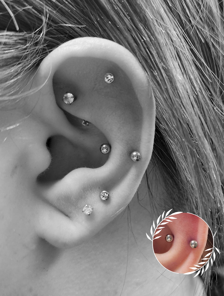 Ashton piercing work