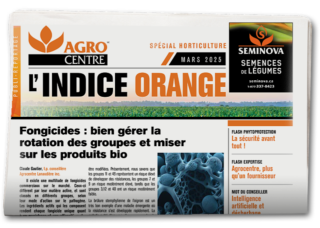 Indice Orange