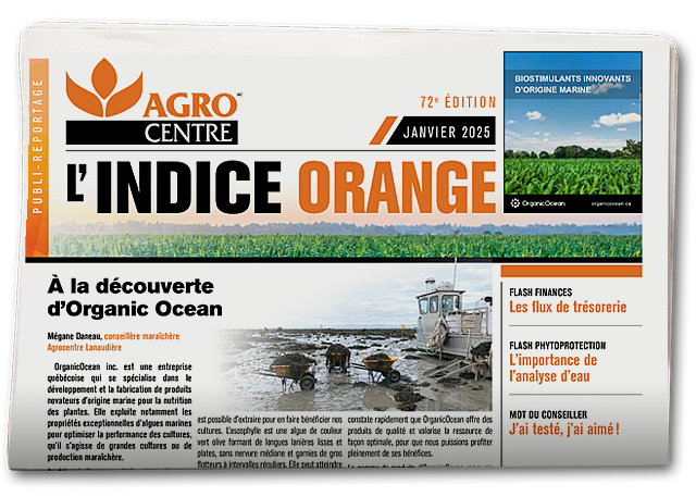 Indice Orange