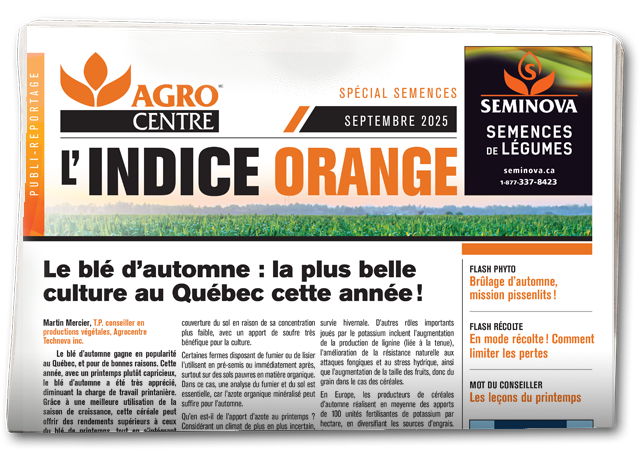 Indice Orange