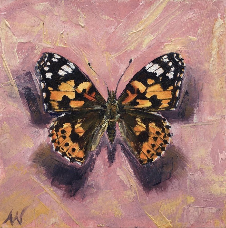Butterfly with orange, black, and white wings on a textured pink background.
