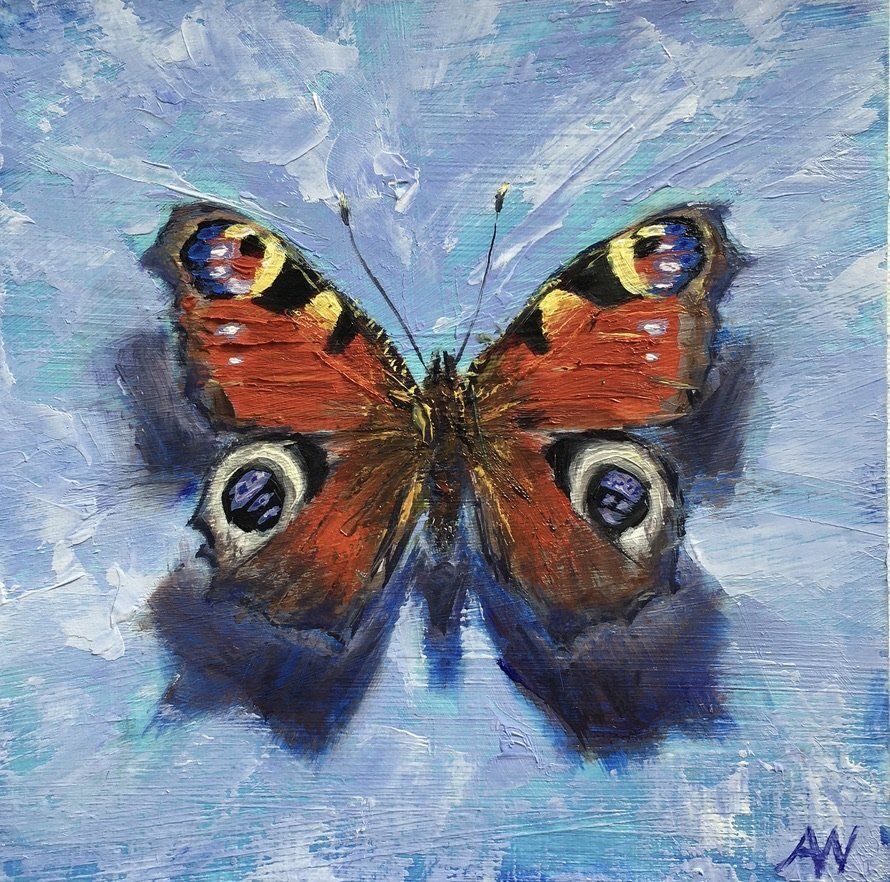 Peacock butterfly with orange and blue wings on a blue background.